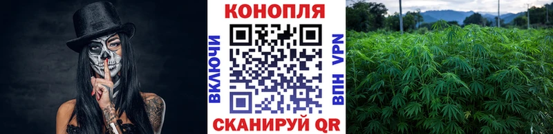 Где можно купить наркотики Любим ГАШИШ  A PVP  Амфетамин  Кокаин  Меф мяу мяу 