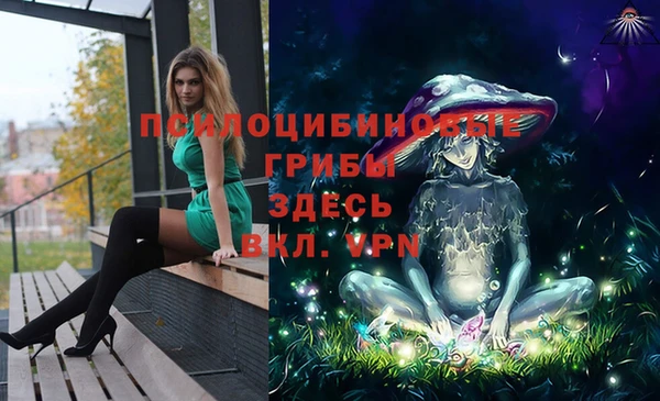 эйфоретик Вяземский