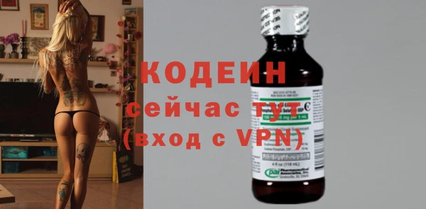 эйфоретик Вяземский