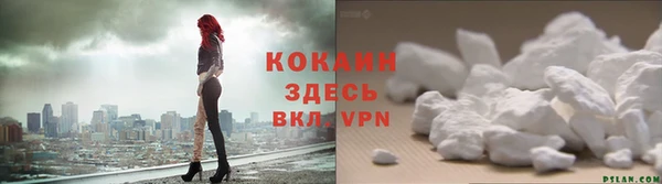 эйфоретик Вяземский