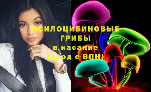 прущая мука Вязники