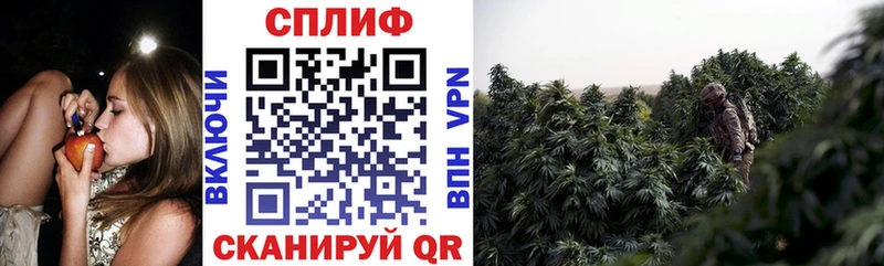 Бошки Шишки ГИДРОПОН  Любим 